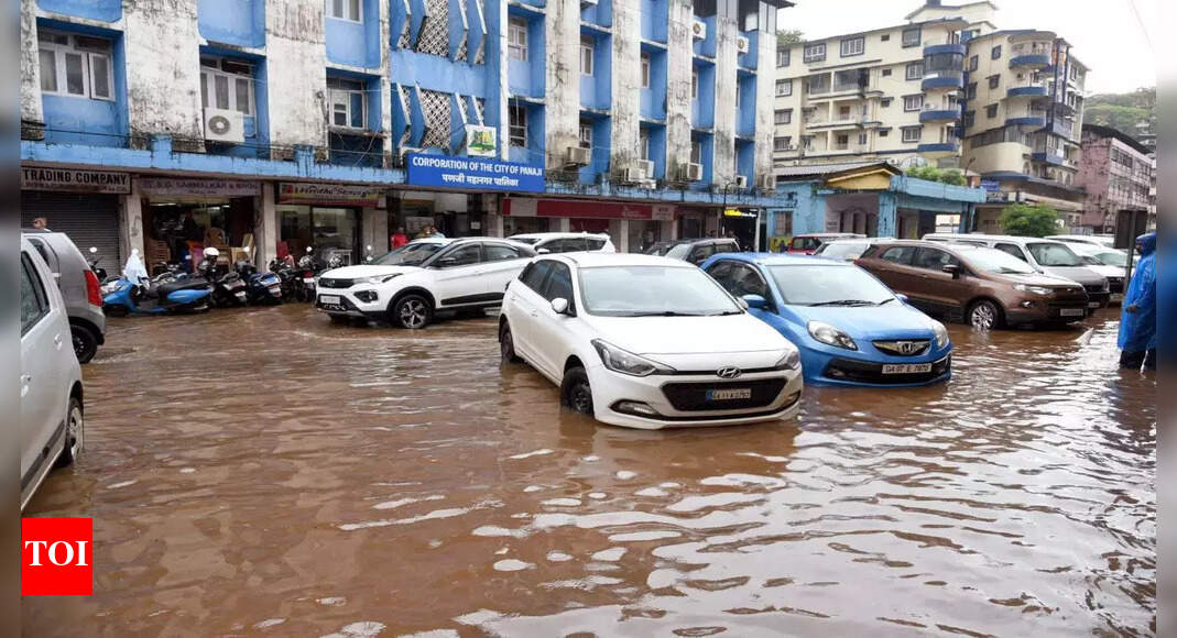 ‘Government must act over Panaji parking chaos’ | Goa News - Times of India
