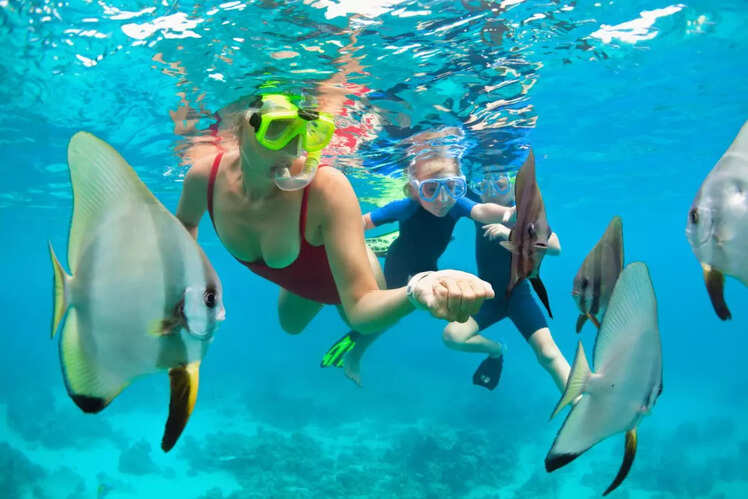 Scuba diving in the Andamans