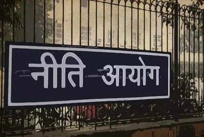 Gig workers in India to top 23 million by 2029-30: Niti Aayog