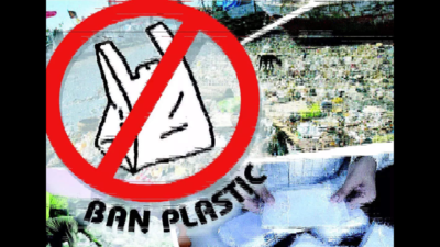 Karnataka: Ban on plastic to be enforced from July 1