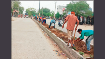 Short of manpower for task, municipal corporation outsources maintenance of trees