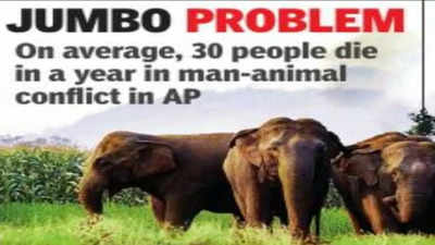 Man-animal Conflict Worsens In Ap, Jumbos & Bears Biggest Killers |  Visakhapatnam News - Times of India