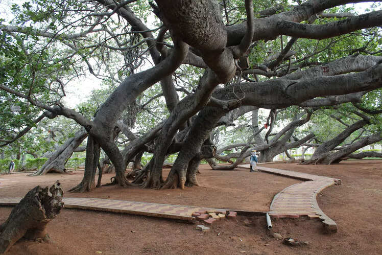 Weekend getaways from Hyderabad within 200 km! | Times of India Travel