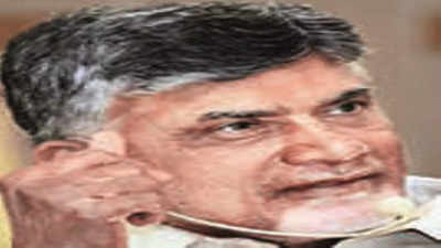 ‘Amaravati lands were pooled for capital city’