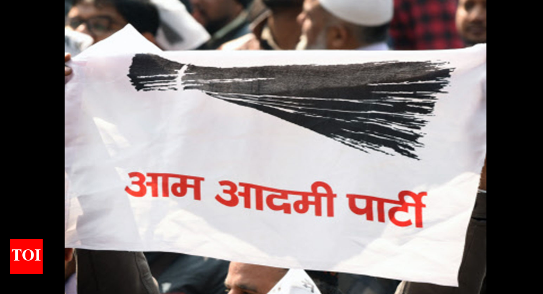 Goa: AAP forms panels to assist MLAs | Goa News - Times of India