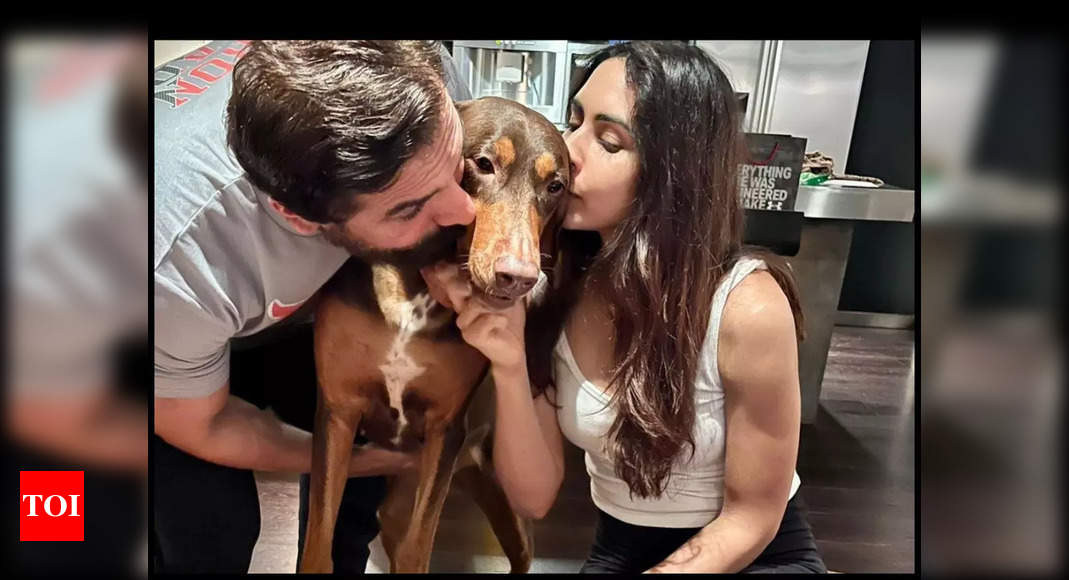 John Abraham and Priya Runchal have fun their hairy buddy Sia’s birthday; Enthusiasts can not forestall gushing over their paww-dorable image | Hindi Film Information