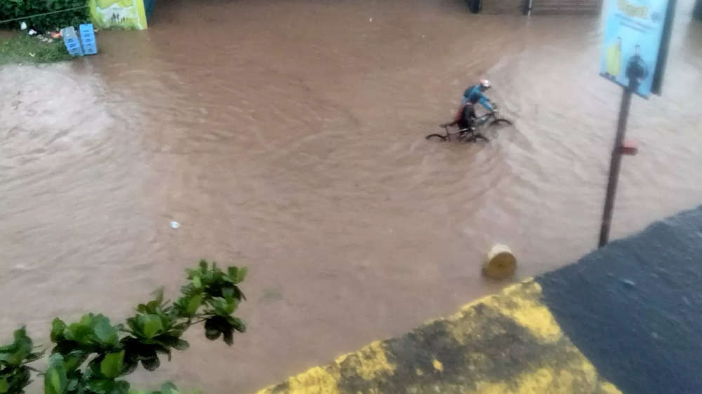 Heavy rains lash Karnataka's coastal districts