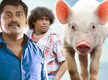 panni kutty movie review in tamil