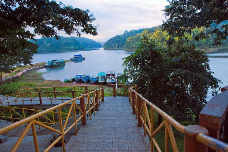 Visit Periyar Wildlife Sanctuary