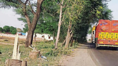 banner img