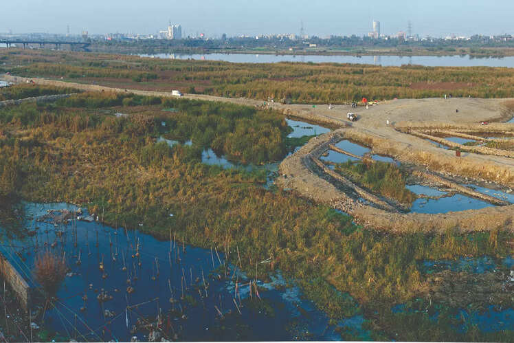 Kalindi Biodiversity Park
