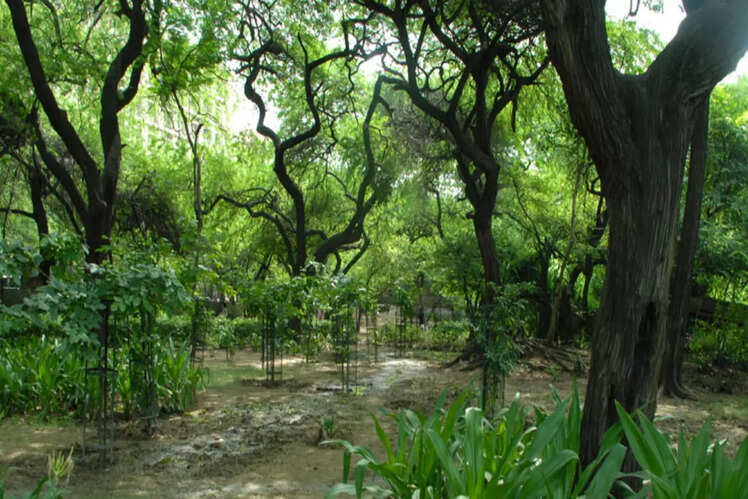 Kamla Nehru Ridge