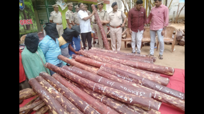 Andhra Pradesh: Task force seizes 48 RS logs near Rajampet, six smugglers arrested
