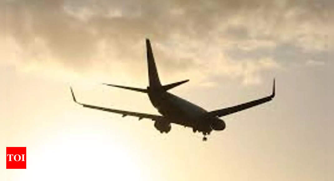 Airfares likely to dip in coming months: Centre for Asia Pacific Aviation – Times of India