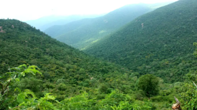 banner img