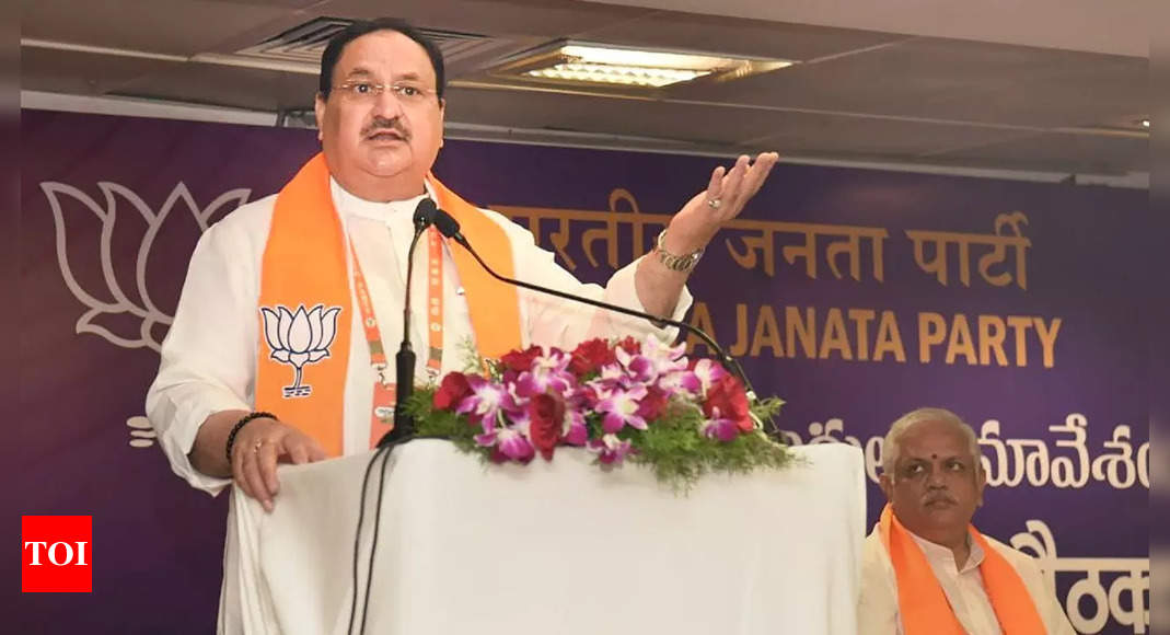 Nadda credits Modi govt's pro-poor measures for wins in state elections, bypolls