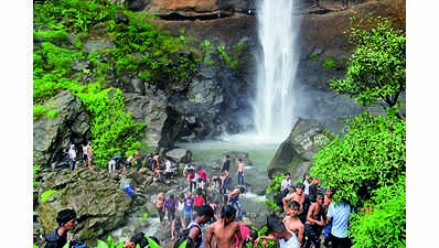 Revellers throng waterfalls despite prohibitory orders