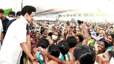 Can T Waste Time Reacting To Needless Criticism Says Tamil Nadu Cm M K Stalin Chennai News Times Of India