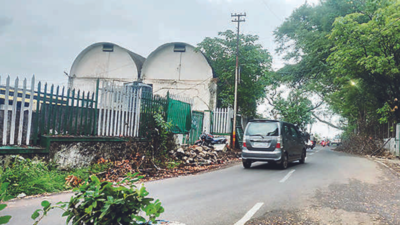 Branches Of Pruned Trees Left By Roadside Pose Danger | Pune News – Times of India