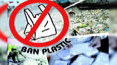Bhopal: Affordable options key to plastic ban success