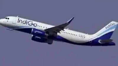 IndiGo and Turkish airline resume codeshare agreement