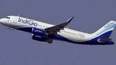 IndiGo introduces additional flights