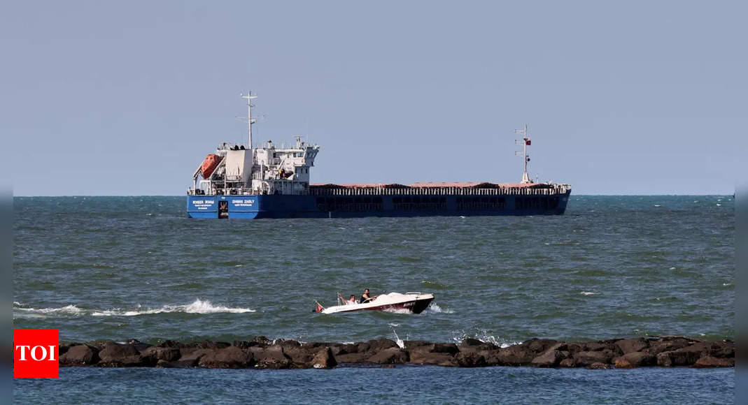 Ukraine says Russian ship carrying Ukrainian grain detained by Turkey – Times of India