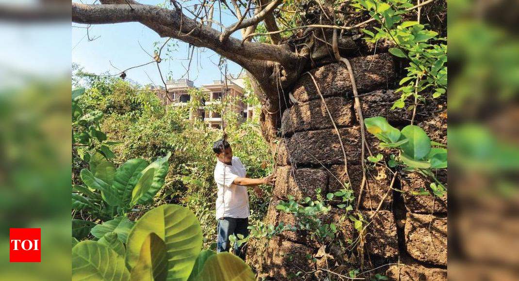 Fortification wall at Old Goa faces threat as construction work encroaches on buffer zone