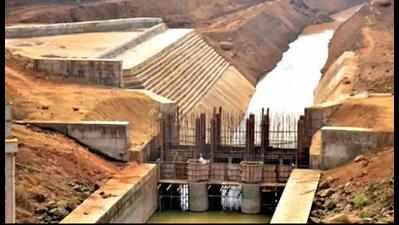 Karnataka floats tender for DPR of Kalasa project