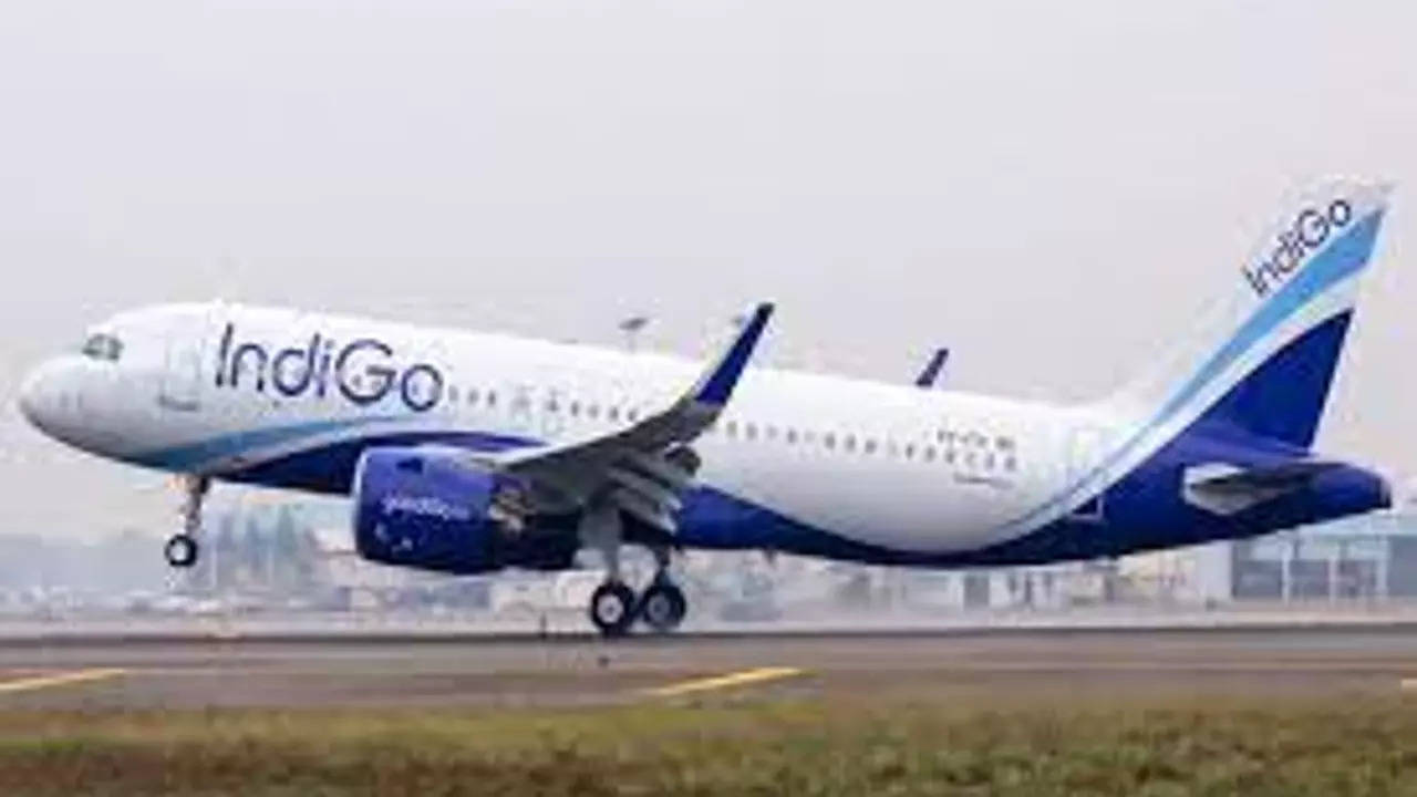 IndiGo Airlines: IndiGo cabin crew on mass leave on day of AI walk