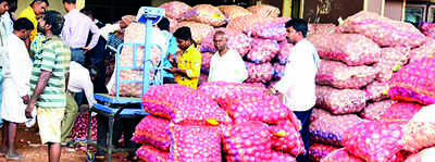 Maha’s 2021-22 onion exports 27.4% lower than past year
