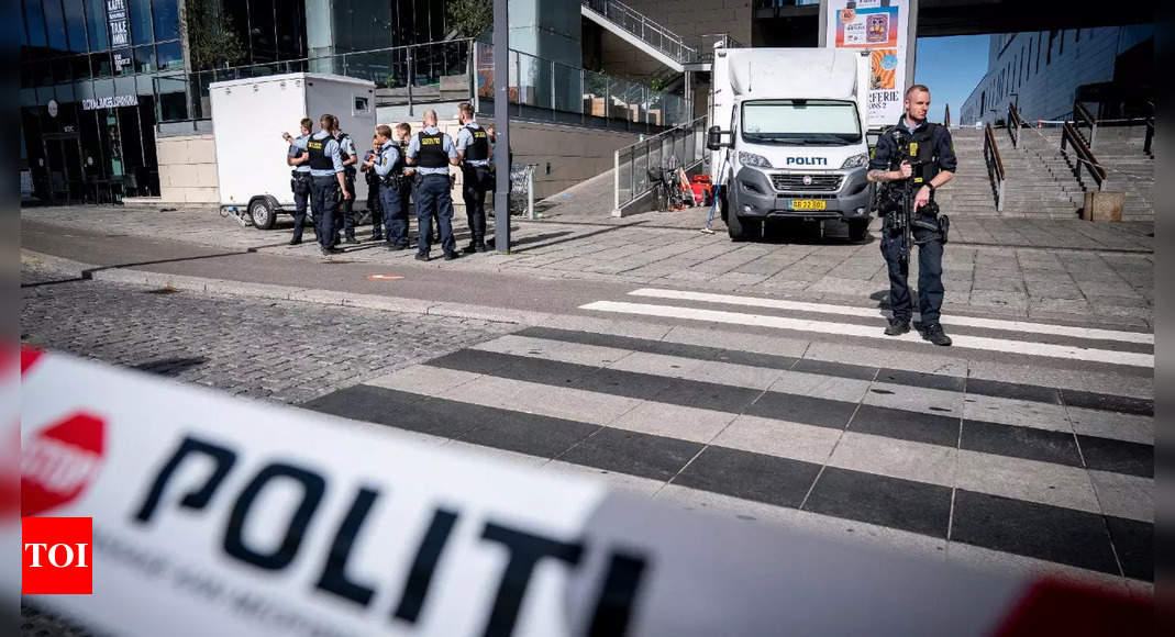 Denmark: Gunman acted alone, likely not terror-related