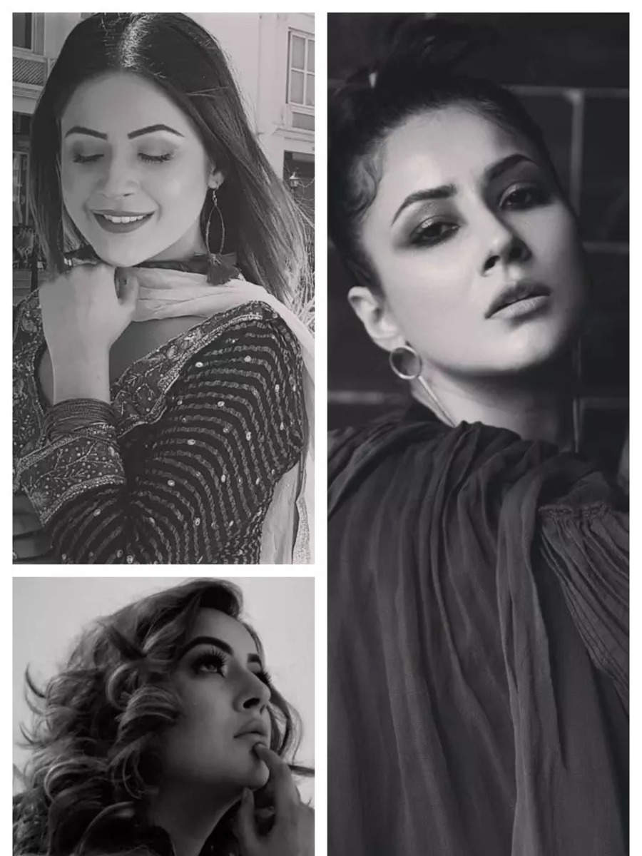 nine Monochrome footage of Shehnaaz Gill that end up attractiveness wishes no colors