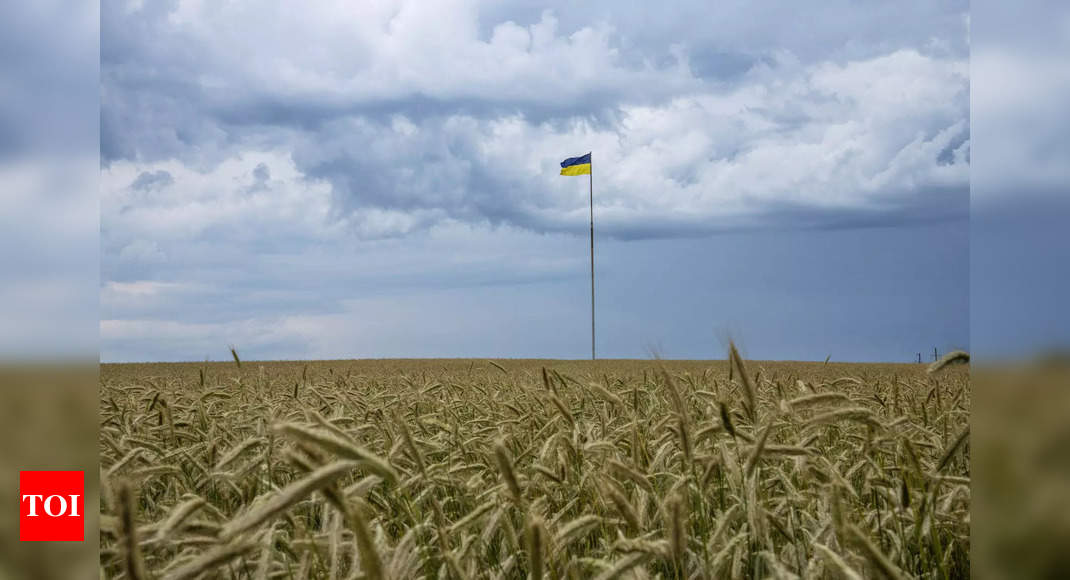 Wheat war: Ukraine conflict raises hunger fears – Times of India
