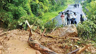 Two landslides at Anmod Ghat bring traffic to a halt in Goa