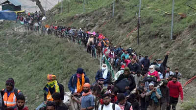 Amarnath Yatra suspended due to bad weather | Jammu News - Times ...