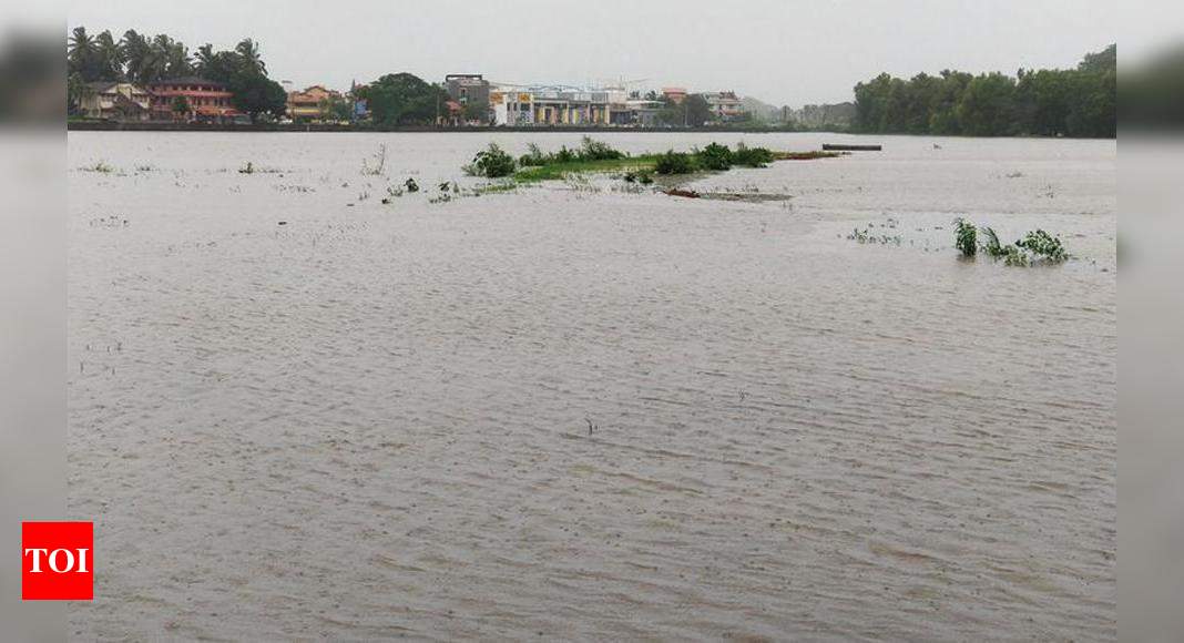 Stretches along Western Bypass, houses & fields in Benaulim flood