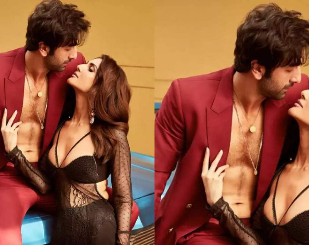
From Ranbir Kapoor's six-pack abs to Vaani Kapoor's hotness, actors ace the latest photoshoot

