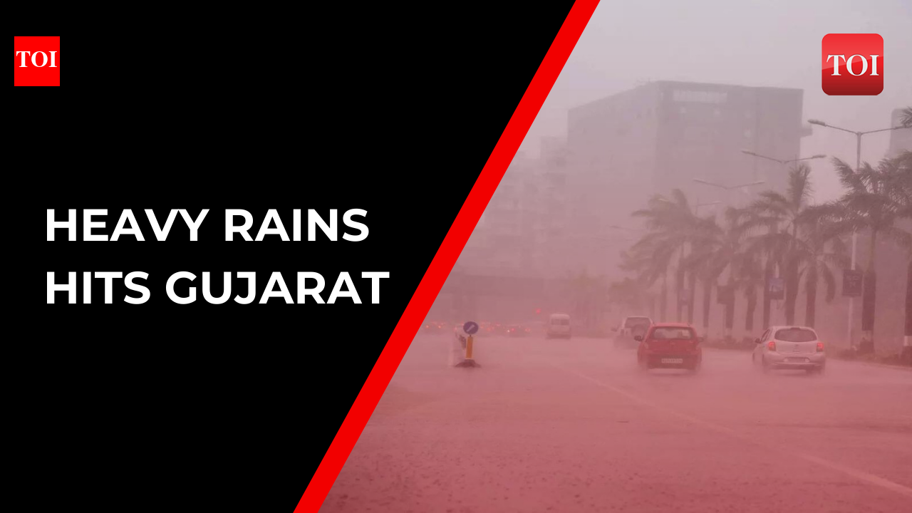 Gujarat Rain hits parts of Dwarka