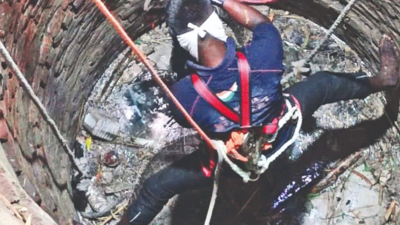 banner img
