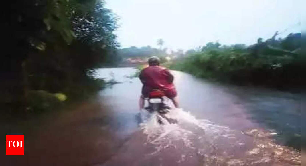 Two washed away while crossing flooded bandh in Goa | Goa News - Times ...