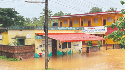 Karnataka: Rain batters coast, artificial flooding affects many areas