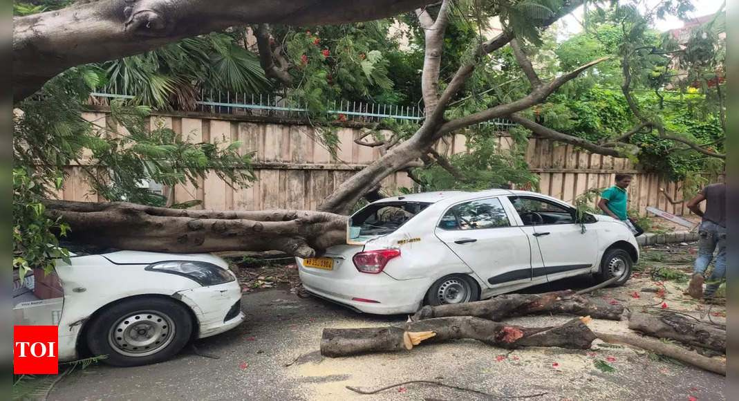 Kolkata: Man injured after tree falls on cars