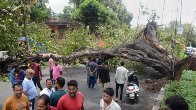 Pune: Waterlogging, uprooted trees calls flood civic helplines