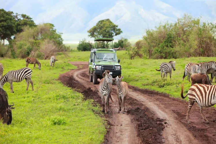 safari drive holidays