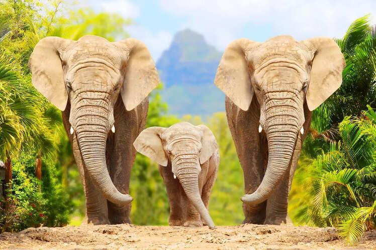Kruger National Park, South Africa