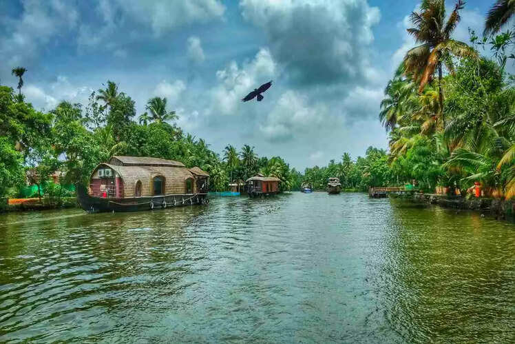Cruise the backwaters