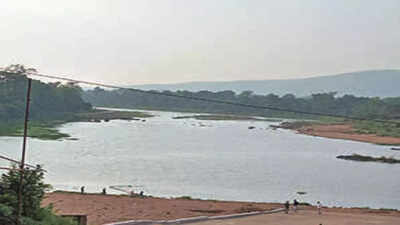 Jharkhand: Find cause of Subarnarekha fish deaths, deputy commissioner Arava Rajkama directs officials