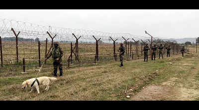 Army porter injured in mine blast along Line of Control in Jammu and Kashmir