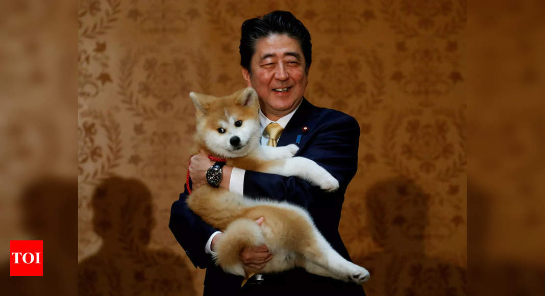 « Choc », « inquiétude » : le monde réagit à la fusillade de Shinzo Abe